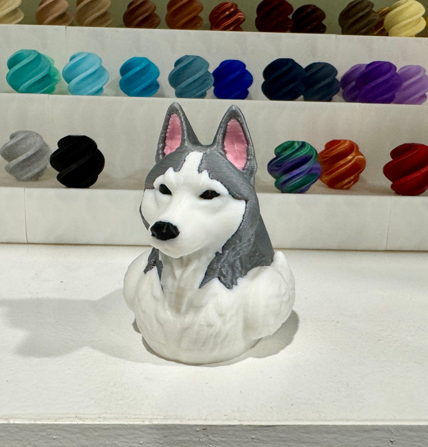Husky Dog Duck