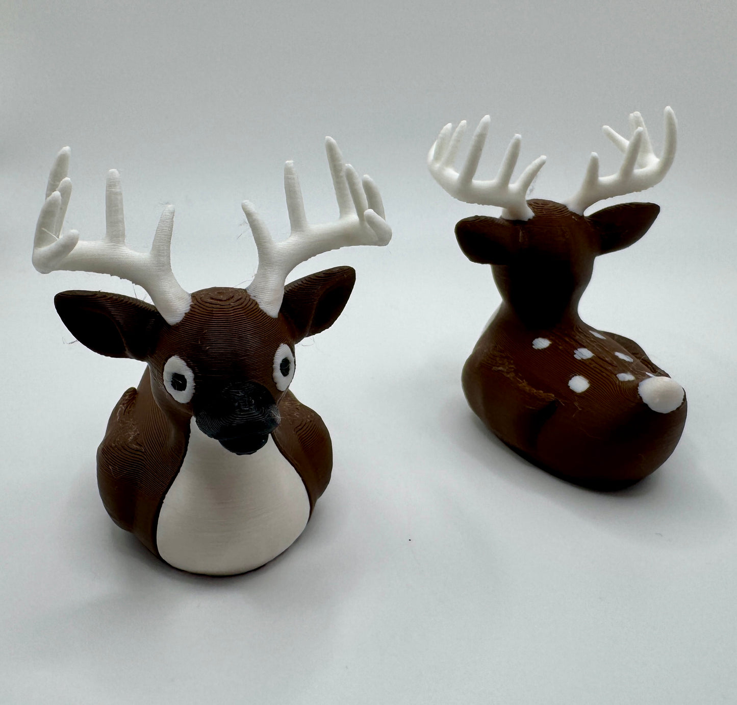 Buck Deer Duck