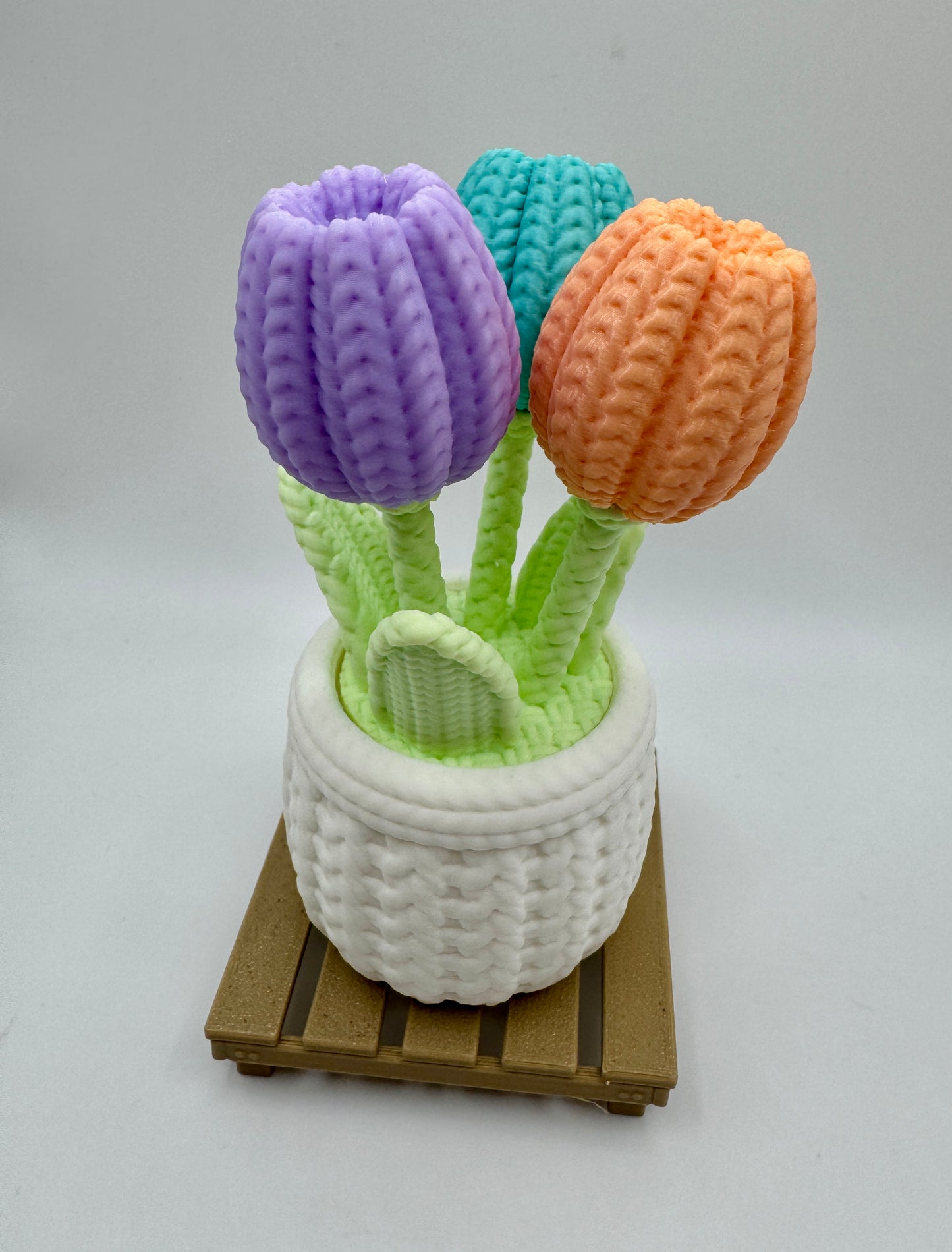 Potted Tulips on Pallet