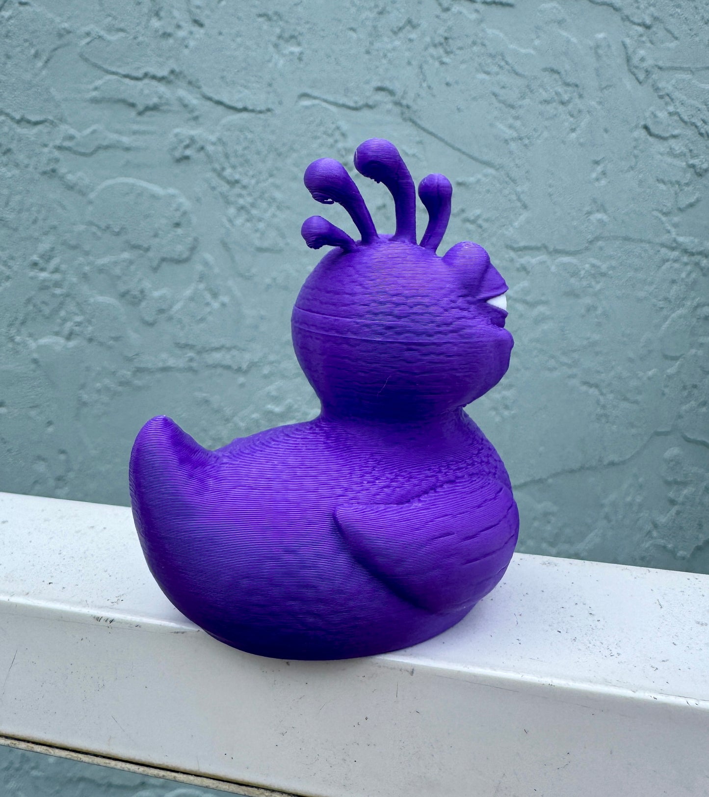 Purple Randall Boggs Duck