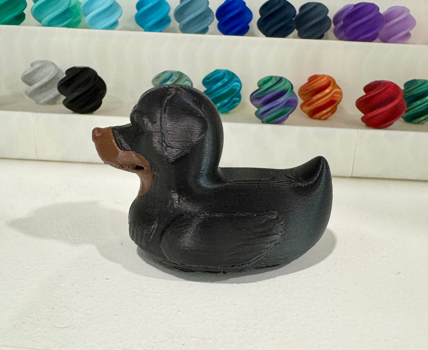 Rottweiler Dog Duck