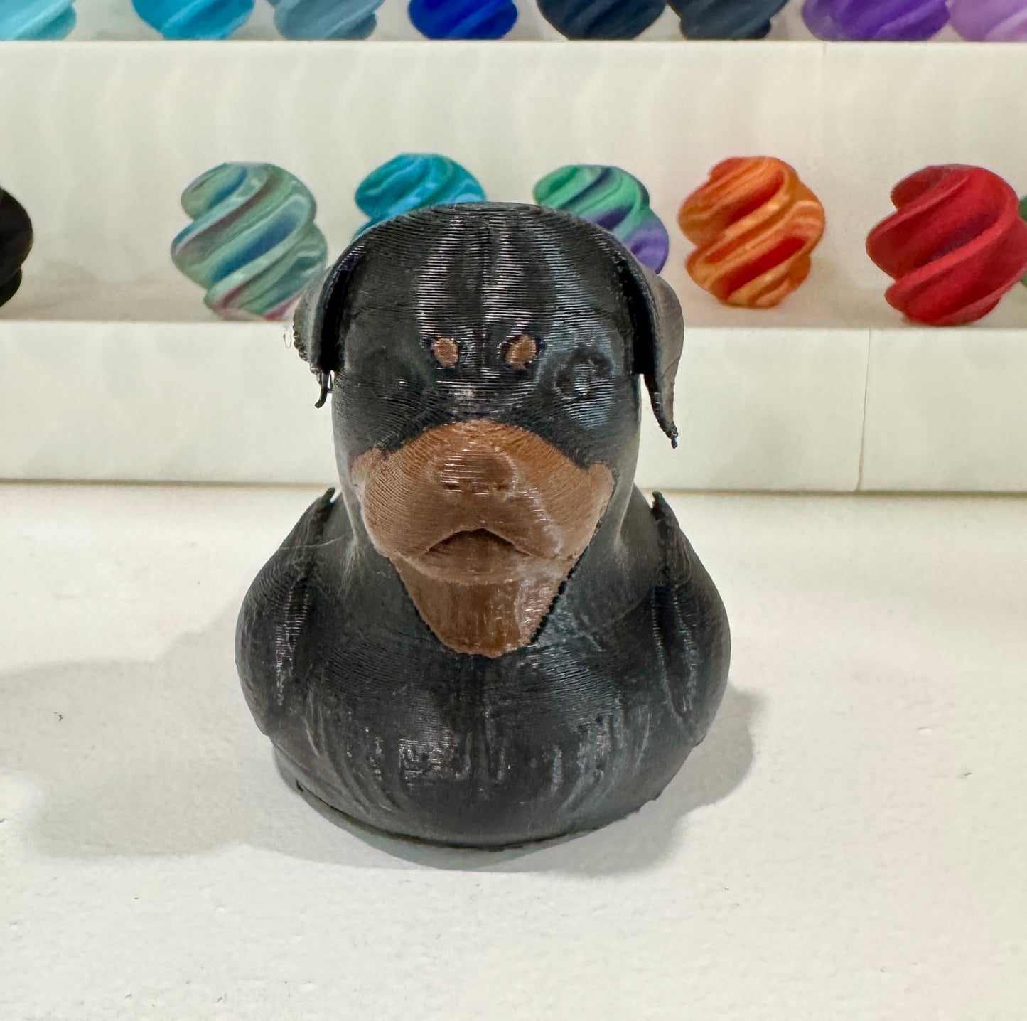 Rottweiler Dog Duck