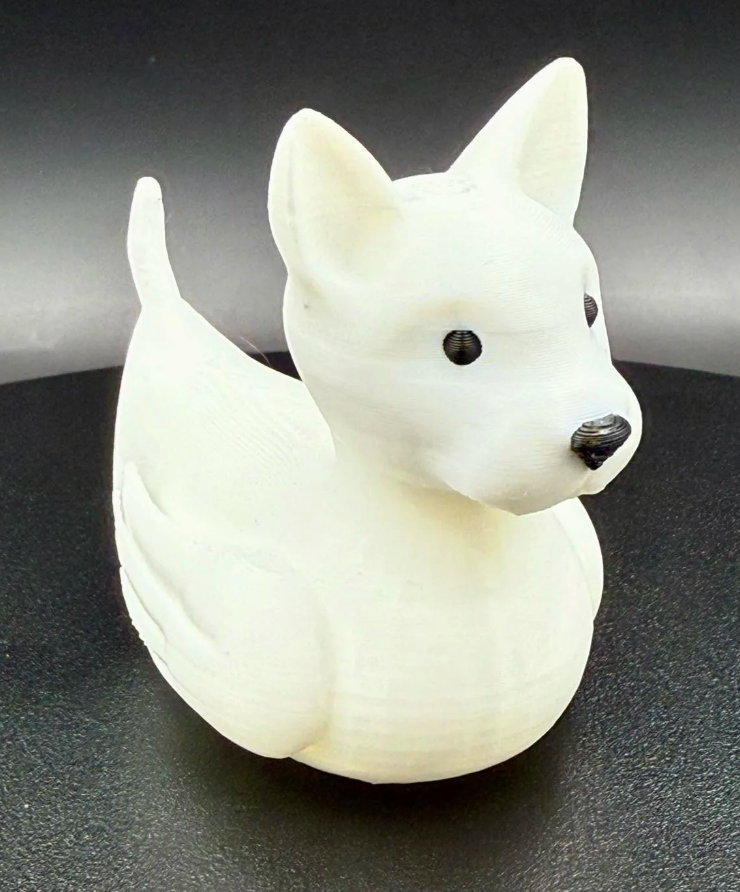 Bull Terrier Dog Duck