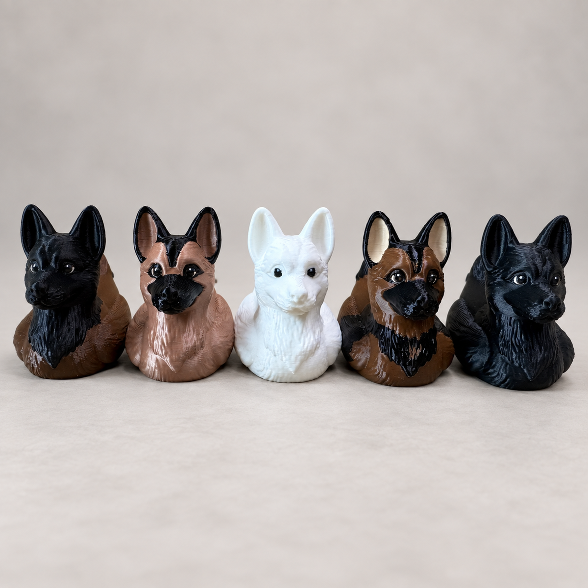 German Shepherd Dog, Belgian Malinois Duck