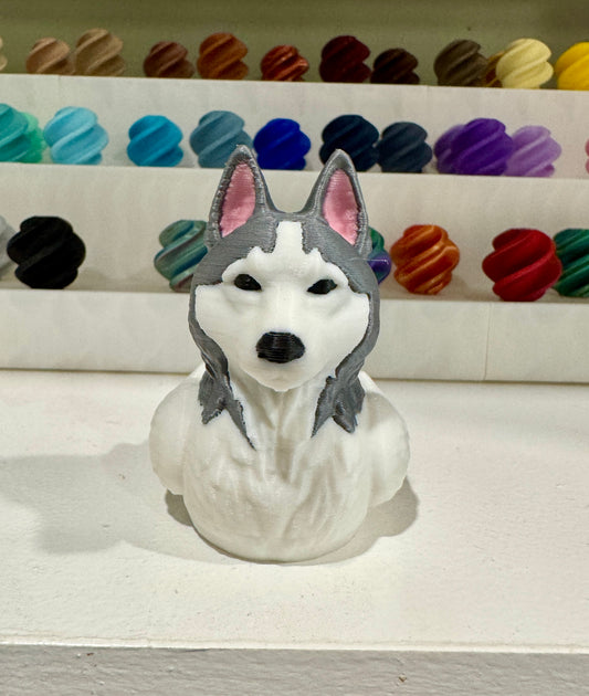 Husky Dog Duck