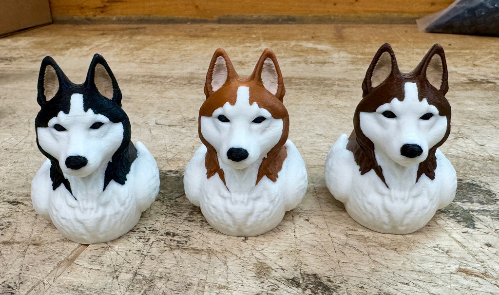Husky Duck – 4 Color Options