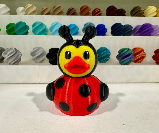Ladybug Duck