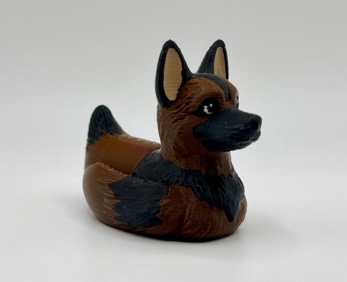 German Shepherd Dog, Belgian Malinois Duck