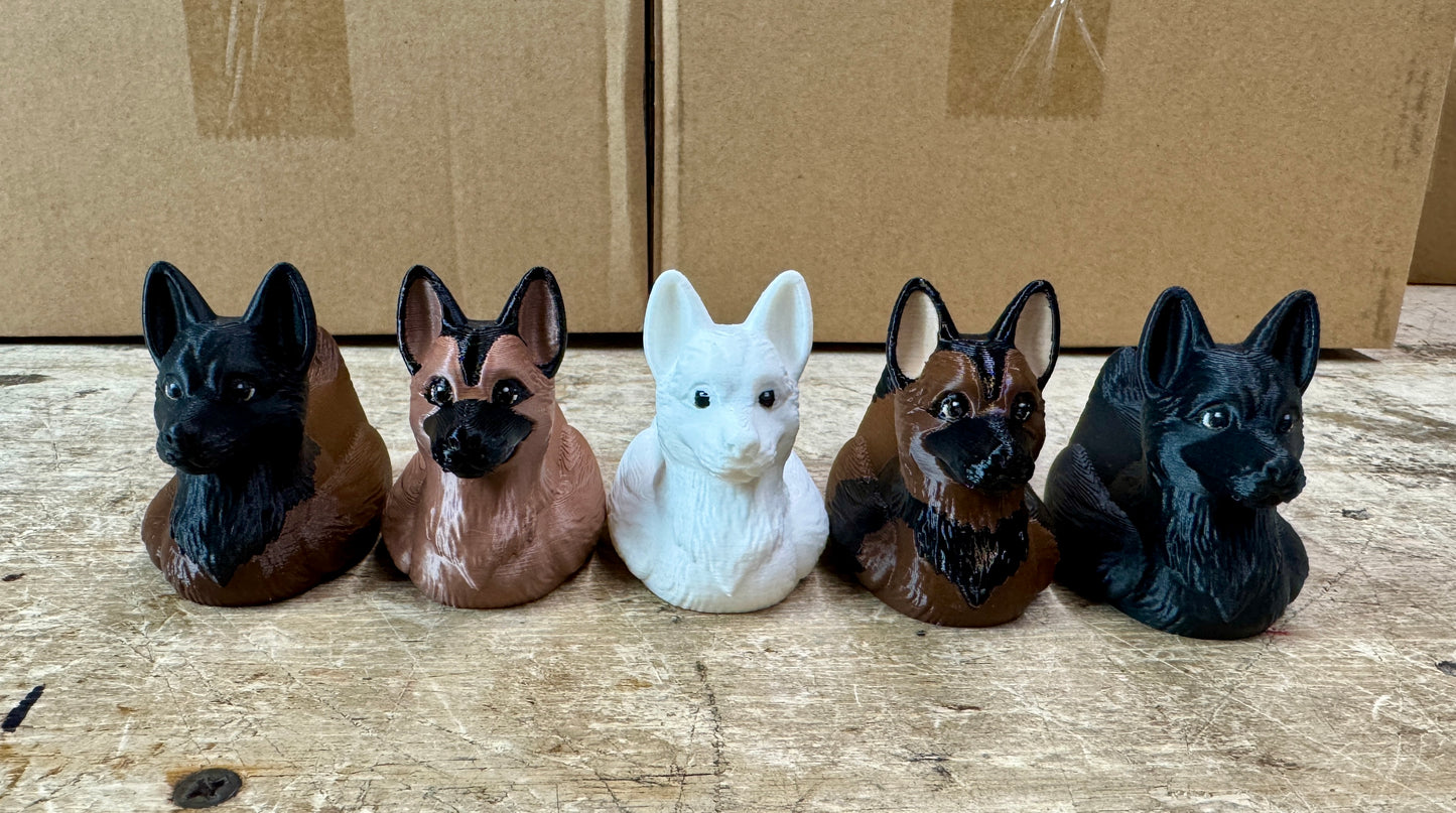 German Shepherd Dog, Belgian Malinois Duck