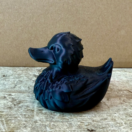 Black Raven Bird Duck