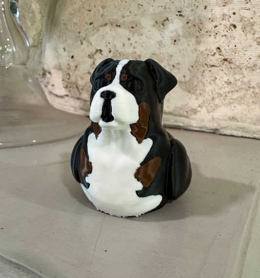 Bernese Mountain Dog Duck