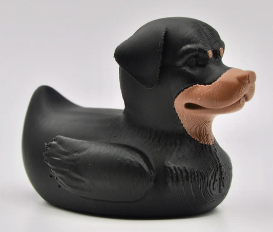 Rottweiler Dog Duck