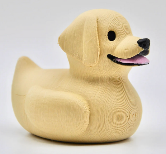 Labrador Retriever Dog Duck