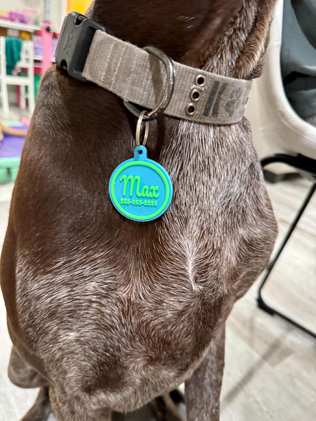 Custom Pet Name ID Tag Circle Collar Charm (20+ Colors)