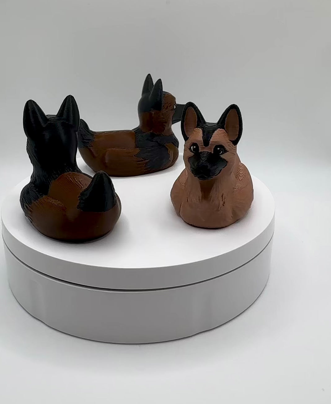 German Shepherd Dog, Belgian Malinois Duck