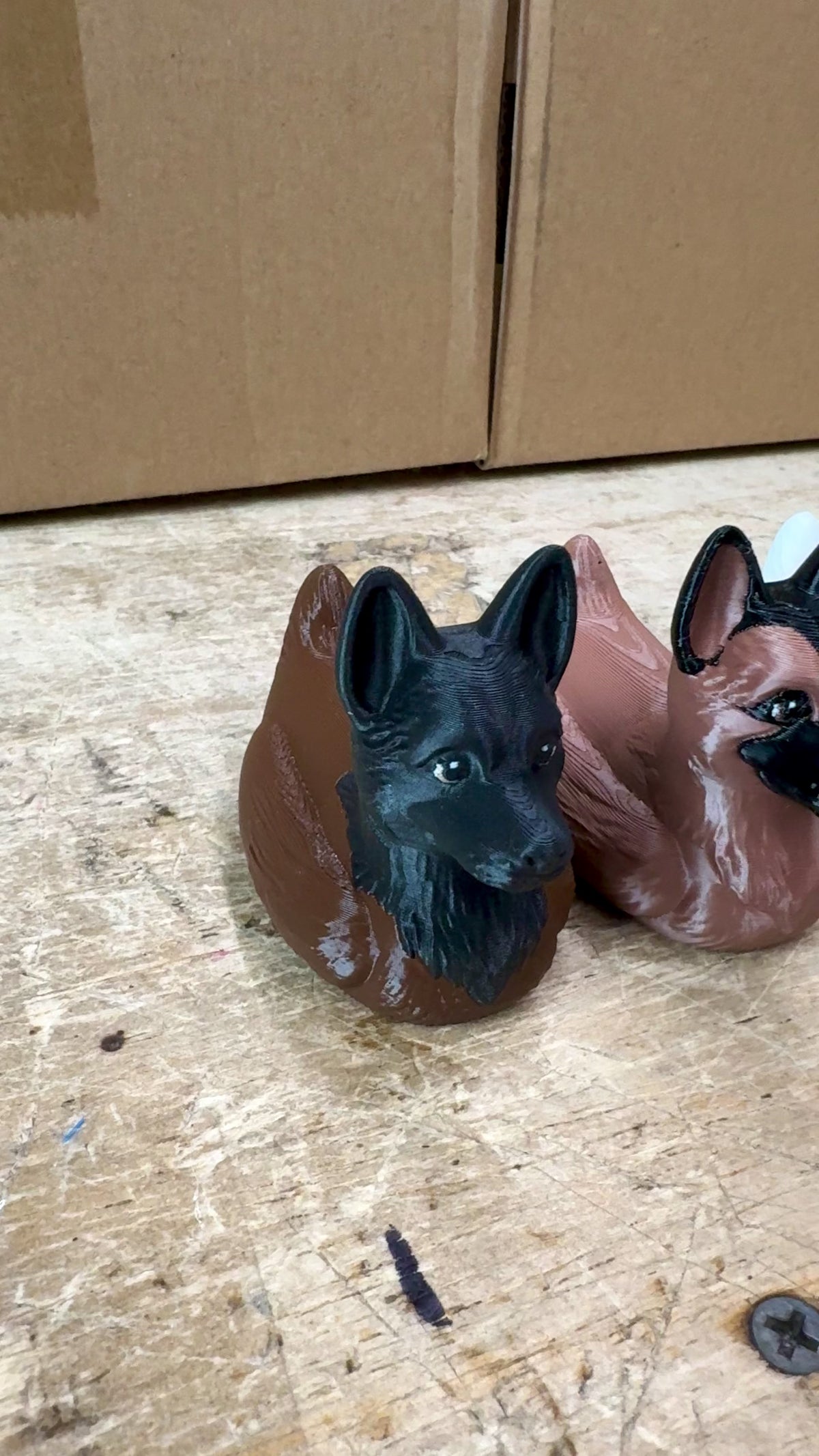 German Shepherd Dog, Belgian Malinois Duck